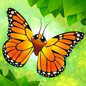   Flutter: Butterfly Sanctuary   -   