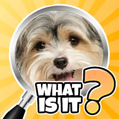 Скачать взлом What is it? Pics Trivia Quiz  [МОД Menu] - последняя версия apk на Андроид