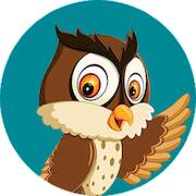   Flappy Owl -     