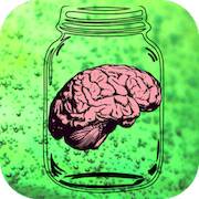   Big Brains in Little Jars -     