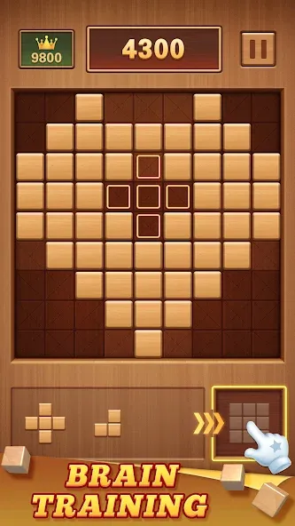 Wood Block 99 - Sudoku Puzzle (Вуд Блок 99)  [МОД Mega Pack] Screenshot 2