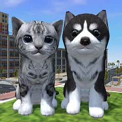 Взломанная Cute Cat And Puppy World (Кьют Кэт Энд Паппи Ворлд)  [МОД Бесконечные деньги] - полная версия apk на Андроид