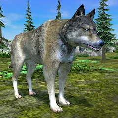 Скачать взлом Wolf Simulator - Animal Games  [МОД Бесконечные монеты] - стабильная версия apk на Андроид