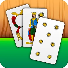 Скачать взломанную Scopa - Italian Card Game (Скопа)  [МОД Unlimited Money] - полная версия apk на Андроид