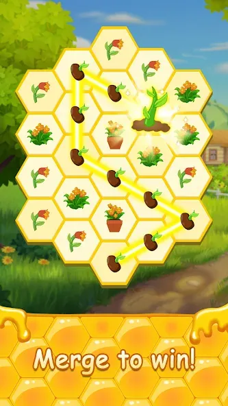 Honey Bottles - merge puzzle (Хани Ботлс)  [МОД Бесконечные монеты] Screenshot 2