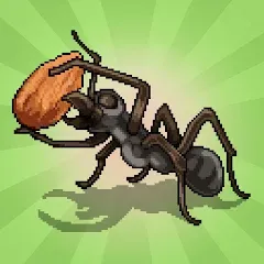 Скачать взломанную Pocket Ants: Colony Simulator (Покет Муравьи)  [МОД Mega Pack] - полная версия apk на Андроид