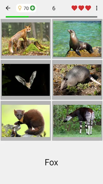 Animals Quiz Learn All Mammals  [МОД Все открыто] Screenshot 2