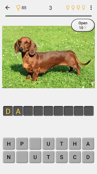 Dogs Quiz - Guess All Breeds!  [МОД Много монет] Screenshot 2