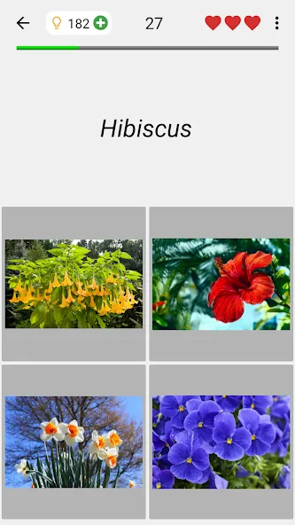 Flowers Quiz - Identify Plants  [МОД Unlimited Money] Screenshot 4