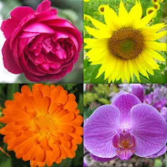 Скачать взлом Flowers Quiz - Identify Plants  [МОД Unlimited Money] - последняя версия apk на Андроид