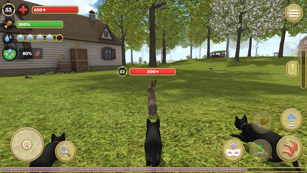 Cat Simulator : Kitties Family  [МОД Бесконечные деньги] Screenshot 2