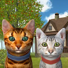 Скачать взлом Cat Simulator : Kitties Family  [МОД Бесконечные деньги] - последняя версия apk на Андроид