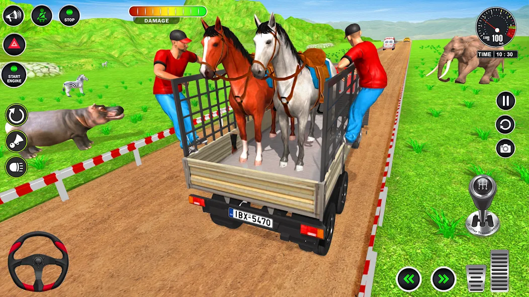 Animal Transport Truck Game 3D (Игра Грузовик для перевозки животных)  [МОД Бесконечные деньги] Screenshot 4