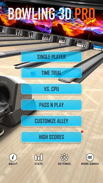 Bowling 3D Pro (Боулинг 3D Про)  [МОД Много монет] Screenshot 4