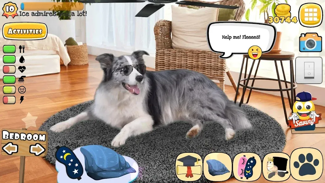 Adopt a pet : Corgi Games (Риал Петс бай Фруви)  [МОД Много монет] Screenshot 5