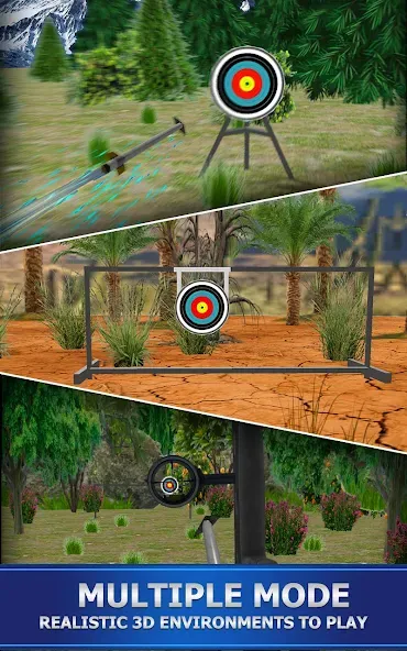 Archery Shoot  [МОД Меню] Screenshot 1