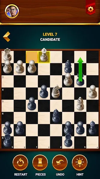 Chess - Offline Board Game  [МОД Бесконечные монеты] Screenshot 5