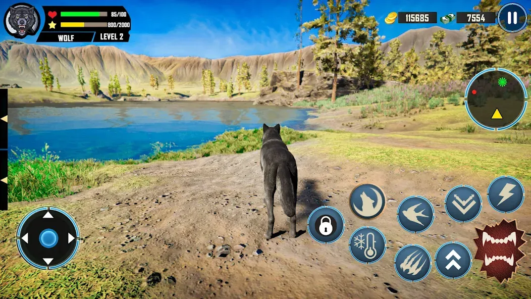 Wild Wolf Simulator Games  [МОД Много денег] Screenshot 2