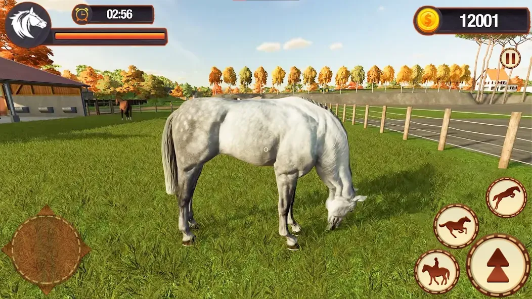 My Horse Herd Care Simulator (Мой симулятор ухода за стадом лошадей)  [МОД Mega Pack] Screenshot 5