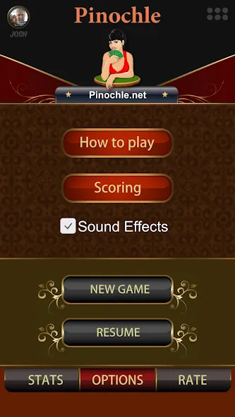 Pinochle.Net  [МОД Много денег] Screenshot 2