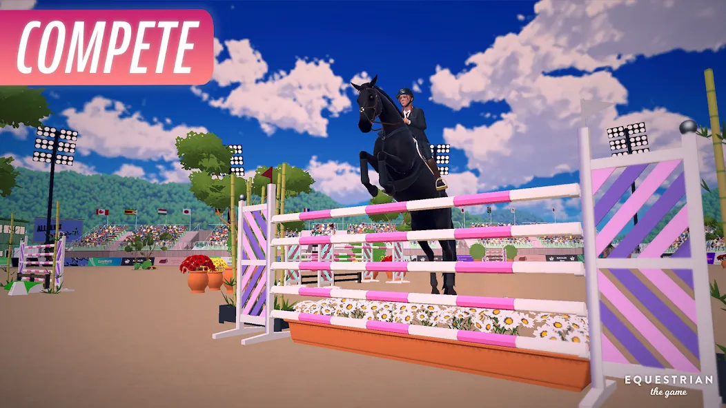 Equestrian the Game (Иквестриан зе Гейм)  [МОД Много монет] Screenshot 4