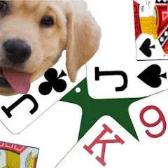 Скачать взломанную K9 Euchre (К9 Юкер)  [МОД Все открыто] - полная версия apk на Андроид