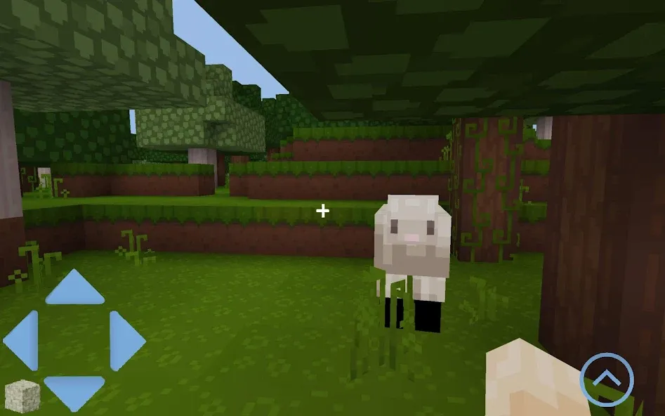 Craft World (Майккрафт)  [МОД Все открыто] Screenshot 2