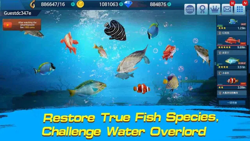 Fishing Championship  [МОД Menu] Screenshot 2