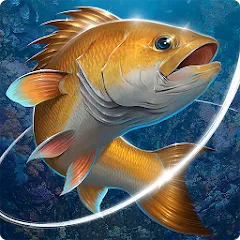 Скачать взломанную Fishing Hook  [МОД Бесконечные деньги] - полная версия apk на Андроид