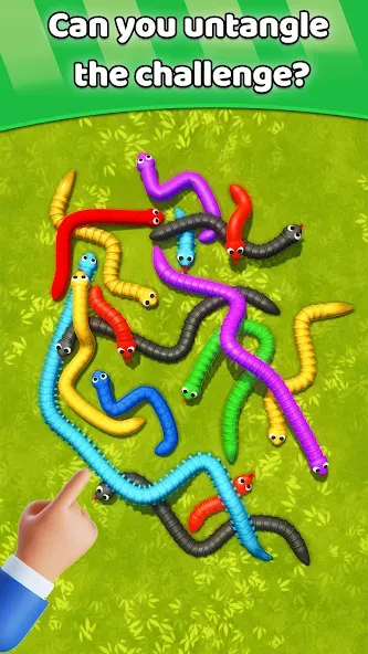 Tangled Snakes Puzzle Game (Танглед Снейк 3Д)  [МОД Unlocked] Screenshot 5