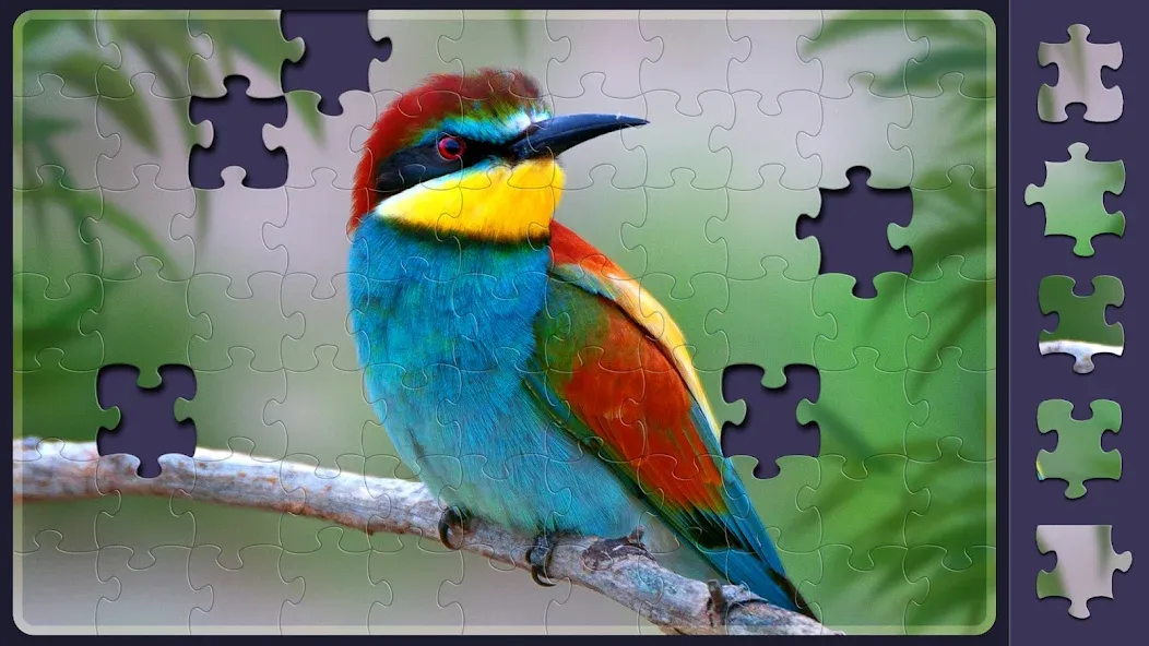 Relax Jigsaw Puzzles  [МОД Бесконечные монеты] Screenshot 5