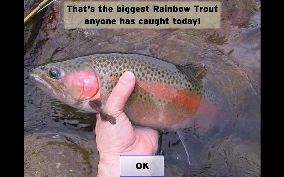 Fly Fishing Simulator (Флай Фишинг Симулятор)  [МОД Unlimited Money] Screenshot 5