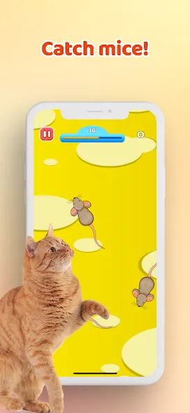 Games for Cat－Toy Mouse & Fish  [МОД Бесконечные монеты] Screenshot 1