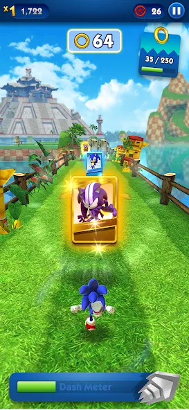 Sonic Dash - Endless Running (Соник Дэш)  [МОД Много денег] Screenshot 4