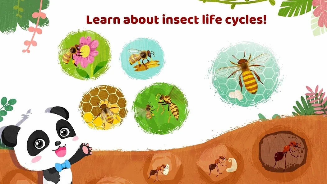 Little Panda's Insect World  [МОД Бесконечные монеты] Screenshot 4