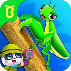 Скачать взлом Little Panda's Insect World  [МОД Бесконечные монеты] - стабильная версия apk на Андроид