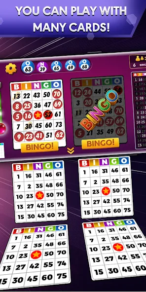 Bingo - Offline Bingo Game  [МОД Бесконечные монеты] Screenshot 1