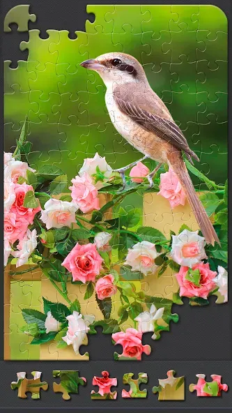 Jigsaw Puzzles for Adults  [МОД Menu] Screenshot 3