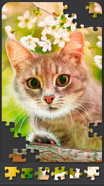 Jigsaw Puzzles for Adults  [МОД Menu] Screenshot 5