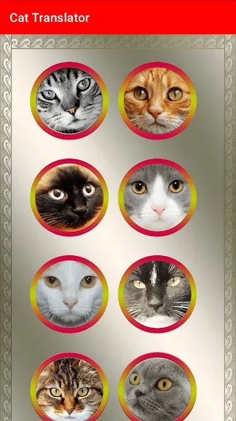 Translator for Cats Prank  [МОД Бесконечные монеты] Screenshot 3