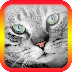 Взломанная Translator for Cats Prank  [МОД Бесконечные монеты] - последняя версия apk на Андроид