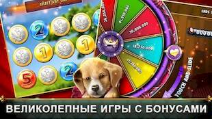   Casino Slot Machines - !   -   