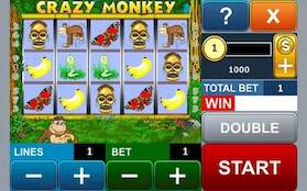   Crazy Slots   -   