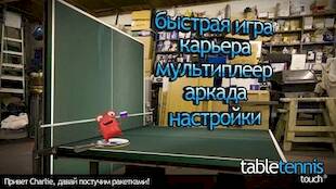   Table Tennis Touch   -   