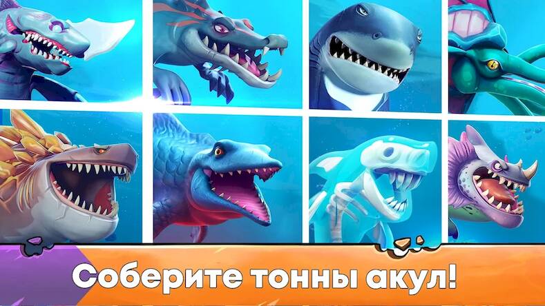   Hungry Shark Evolution:  -     