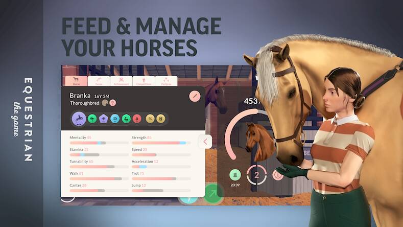   Equestrian the Game -     