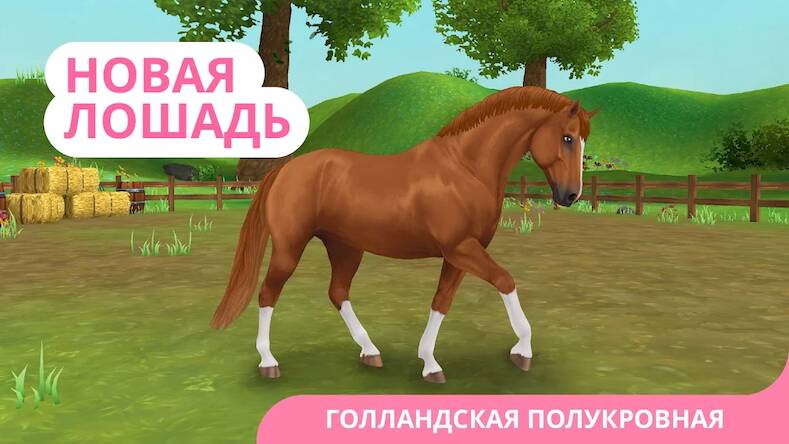   Star Stable Horses -     