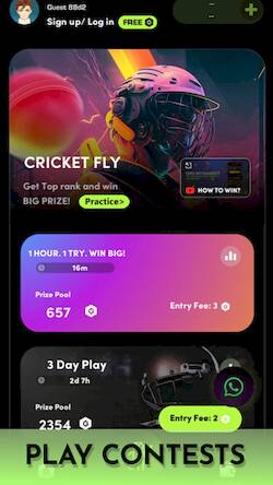   Cricket Fly x Gamifly -     