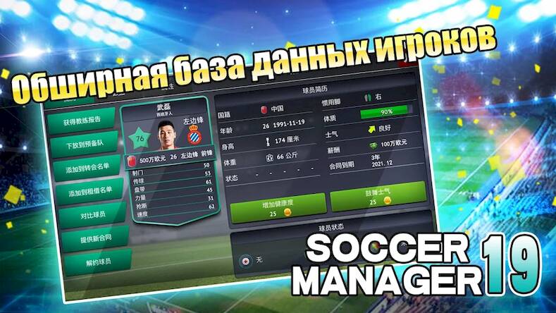   Soccer Manager 2019 - SE/ -     