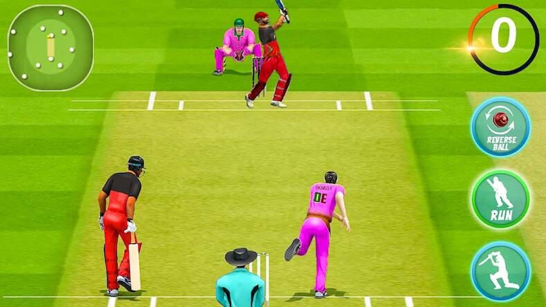   World Cricket Match Simulator -     